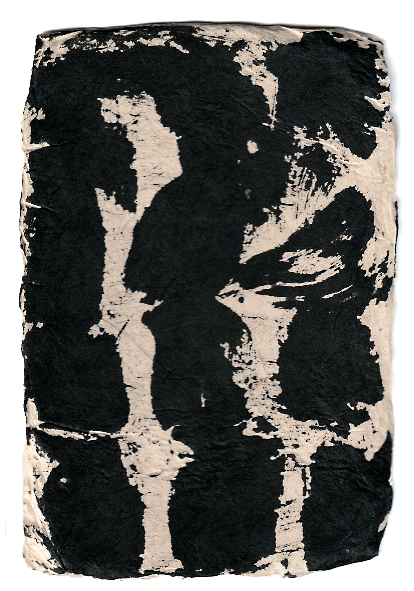 Aona Hayashi - CARTA