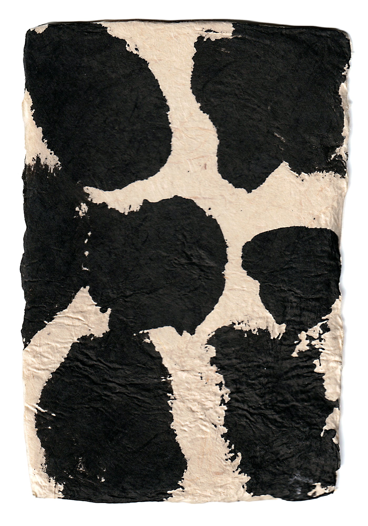 Aona Hayashi - CARTA