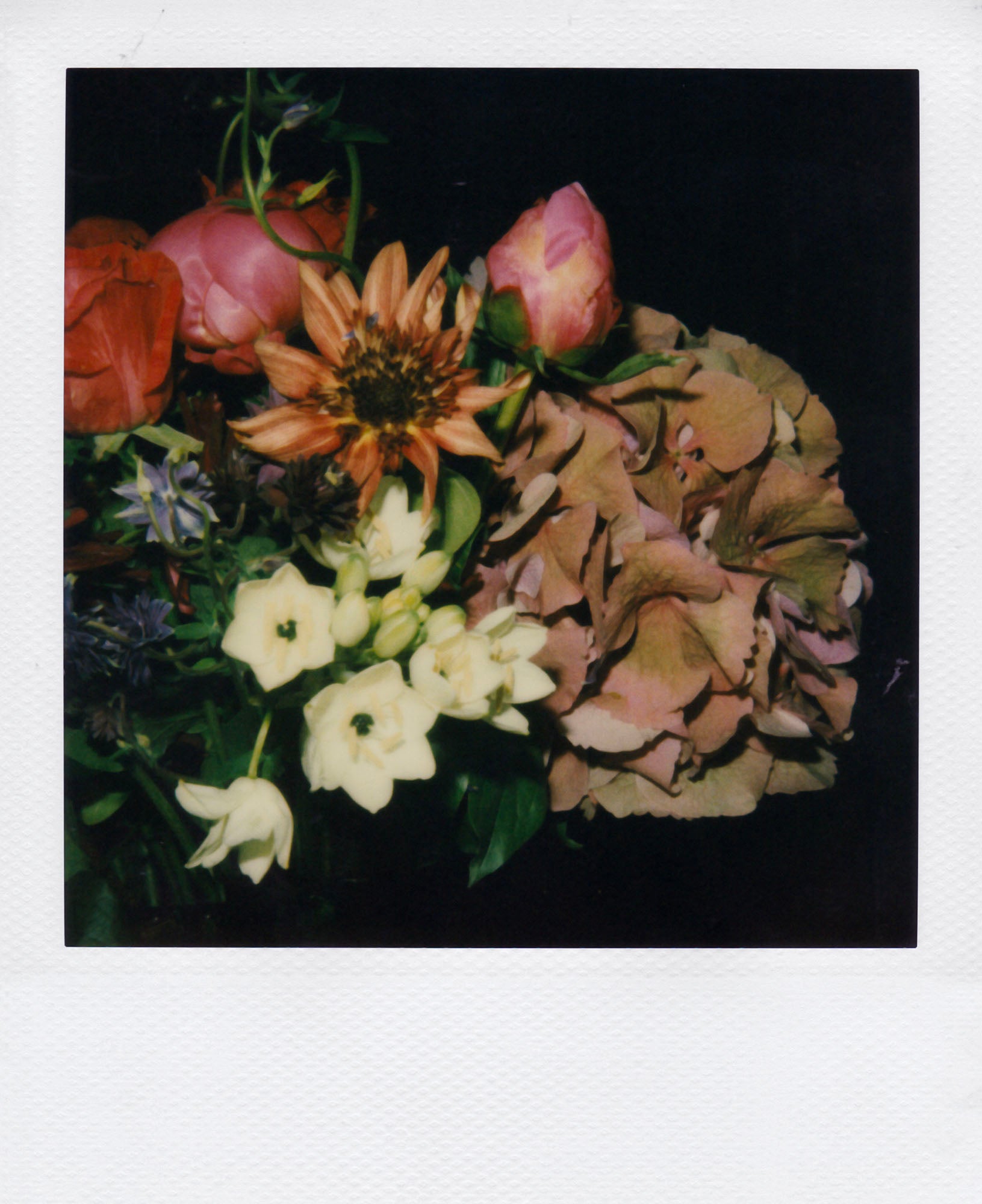 Nobuyoshi Araki - Flower, 2006-2009 – Yvon Lambert Paris