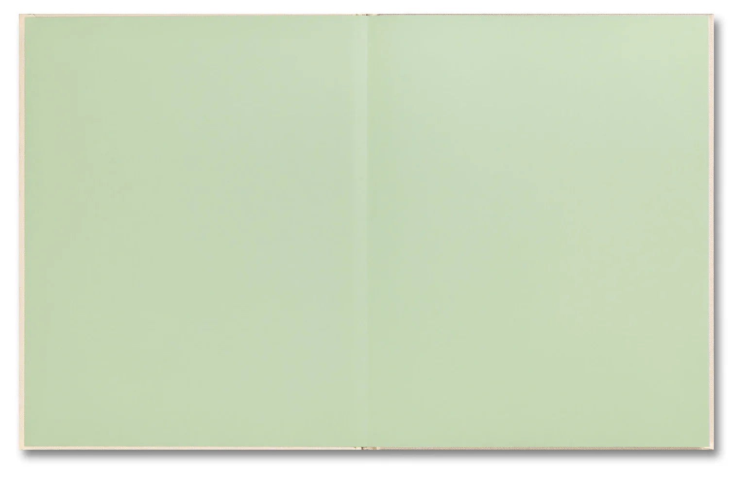 Sofia Coppola (ed.) & Corinne Day - The Virgin Suicides, Important Flowers