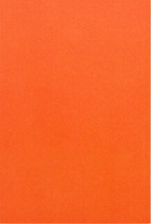 Nathalie Du Pasquier - Campo di Marte II