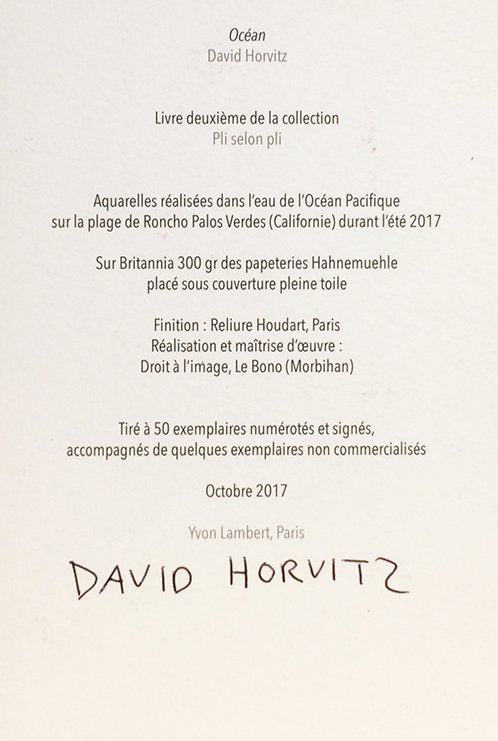David Horvitz - Océan