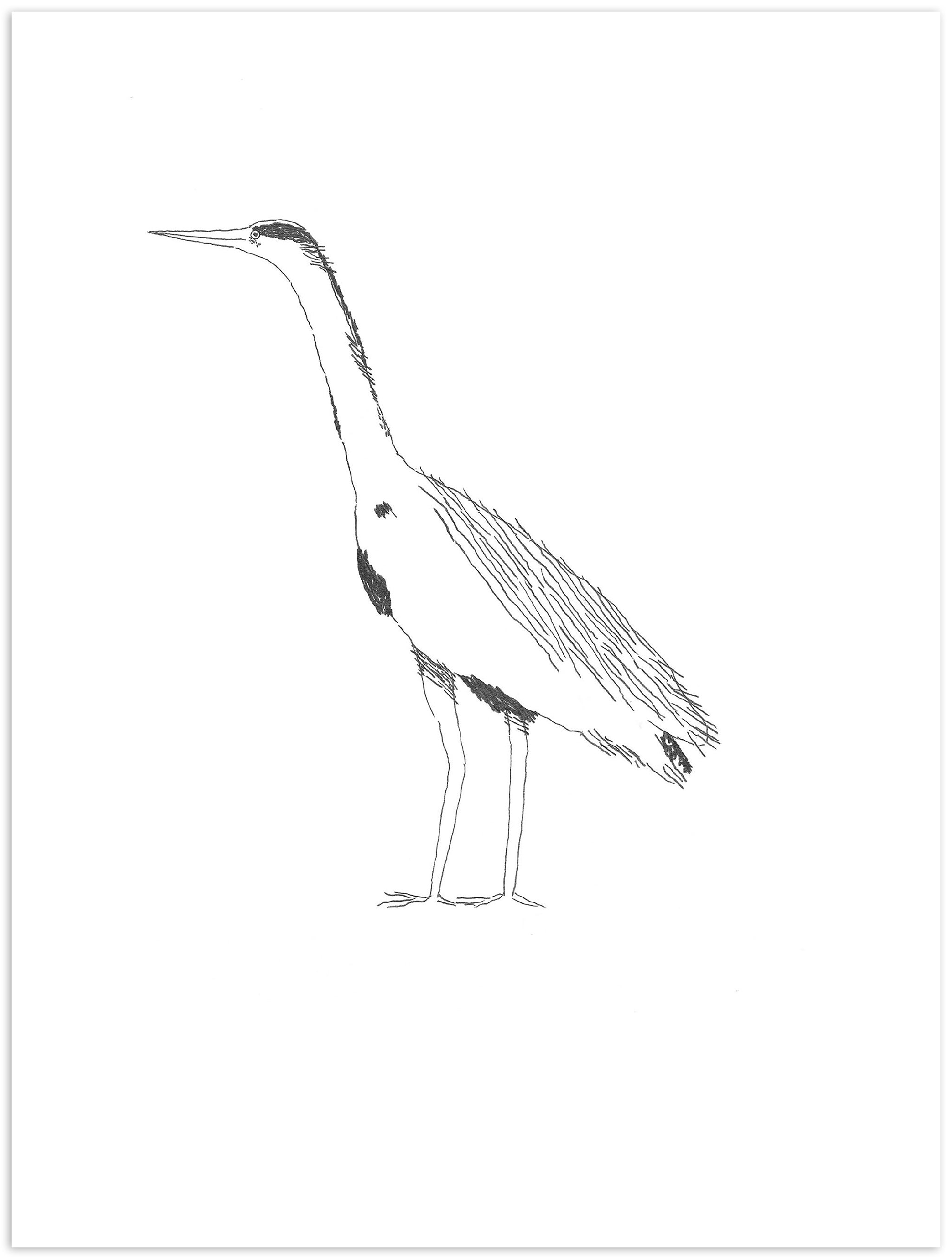 Nigel Peake - Birds of Japan