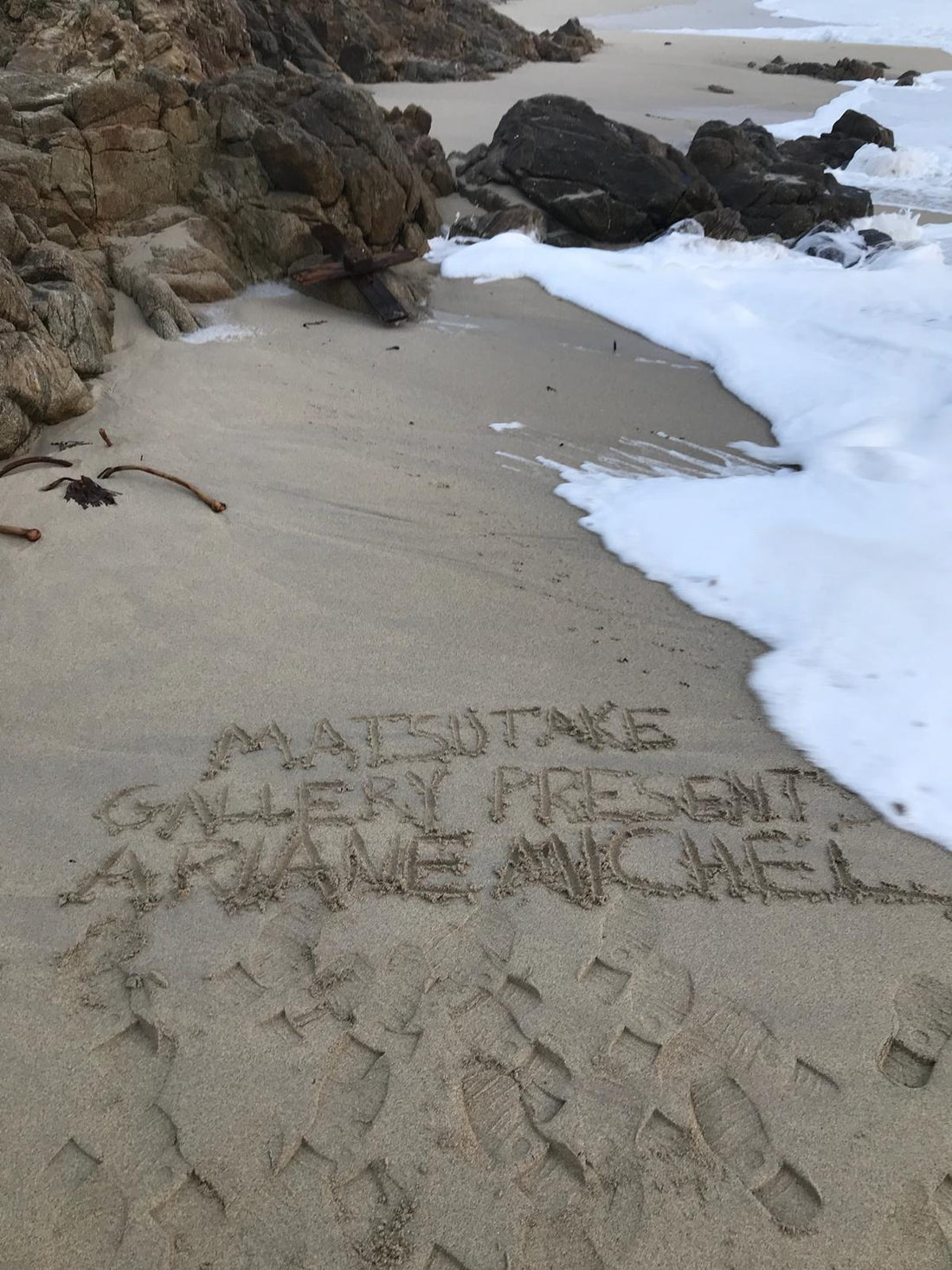 MATSUTAKE GALLERY : Ariane Michel - La Forêt des Gestes