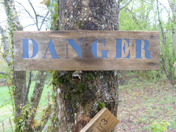 PAUL ARMAND GETTE<br>« DANGER »