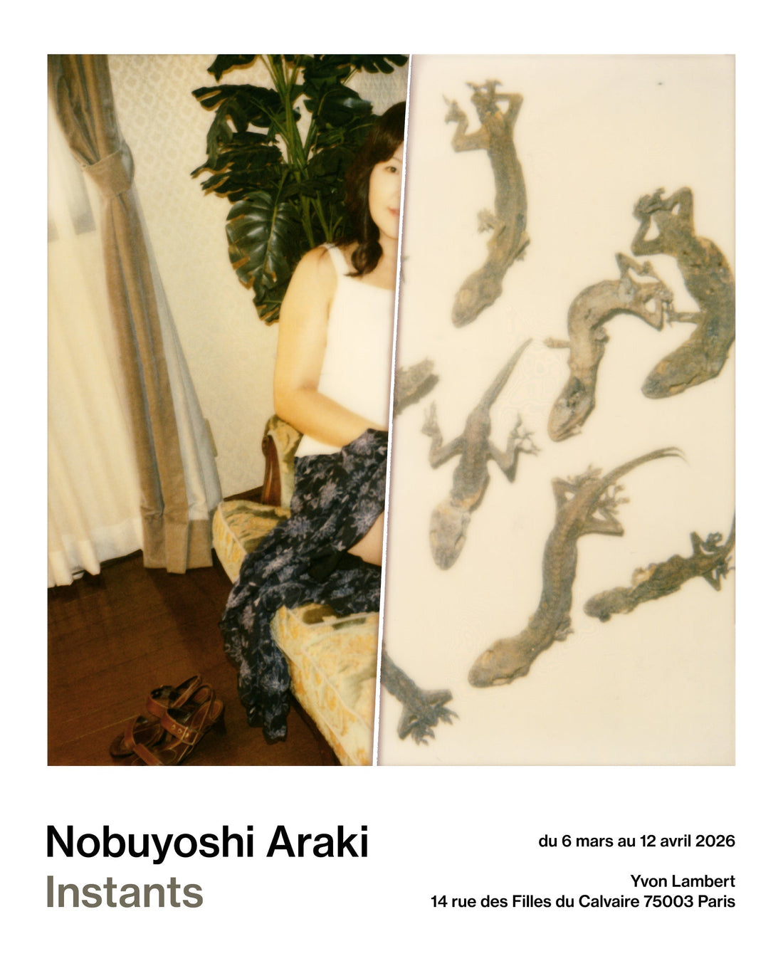 NOBUYOSHI ARAKI <br><em>INSTANTS</em>