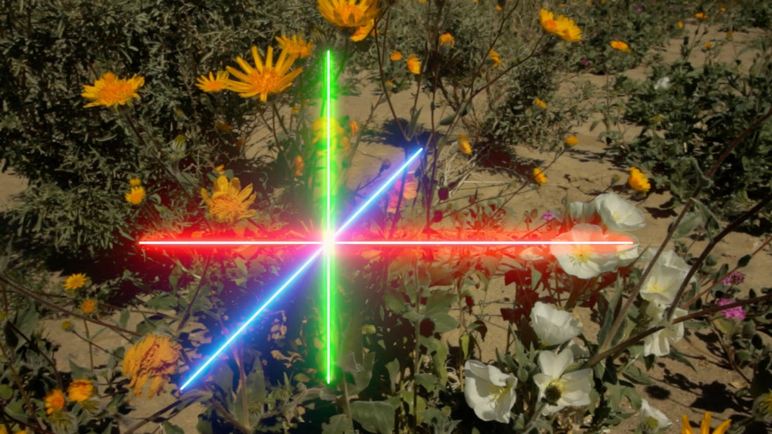 MATSUTAKE GALLERY <br>Sarah Rara <br>« Alias »