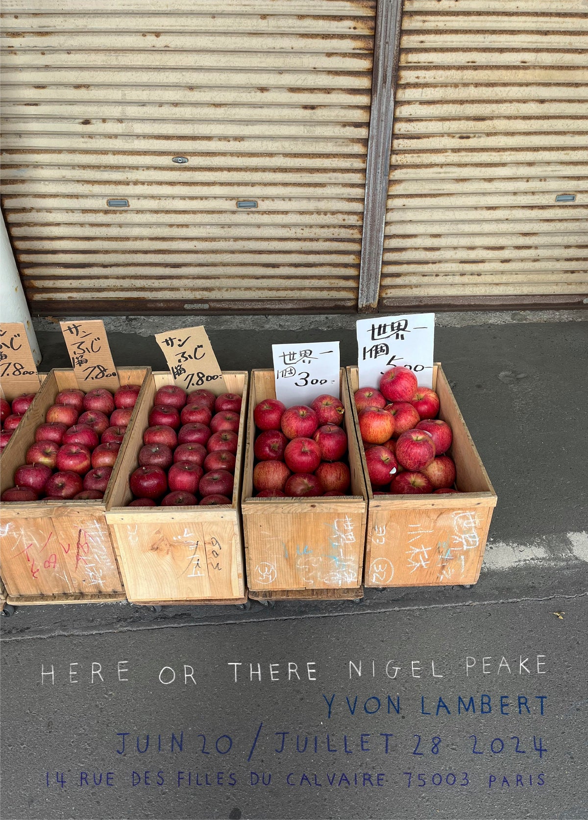 NIGEL PEAKE <br>« HERE OR THERE »