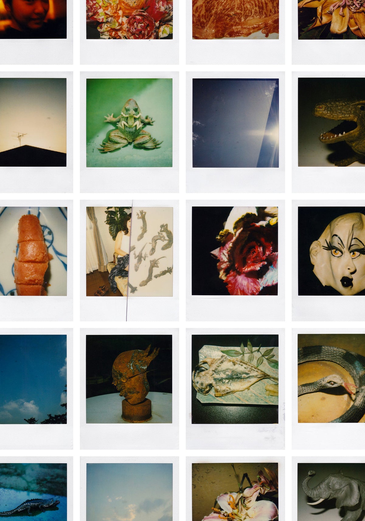 Nobuyoshi Araki <br><em>Instants</em>