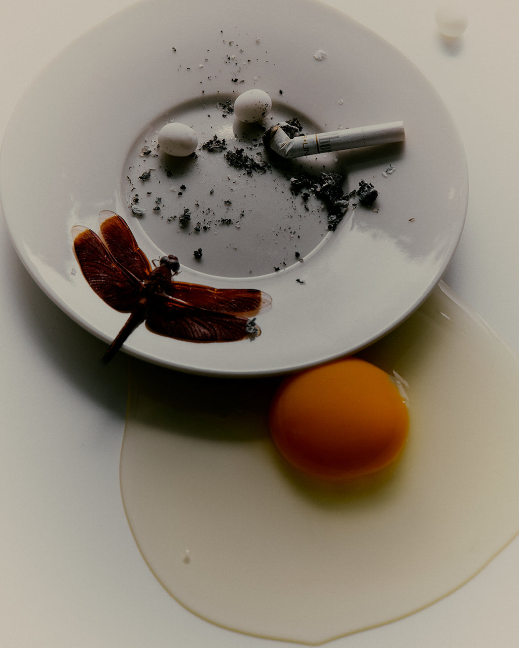 Revue Magazine - N°20