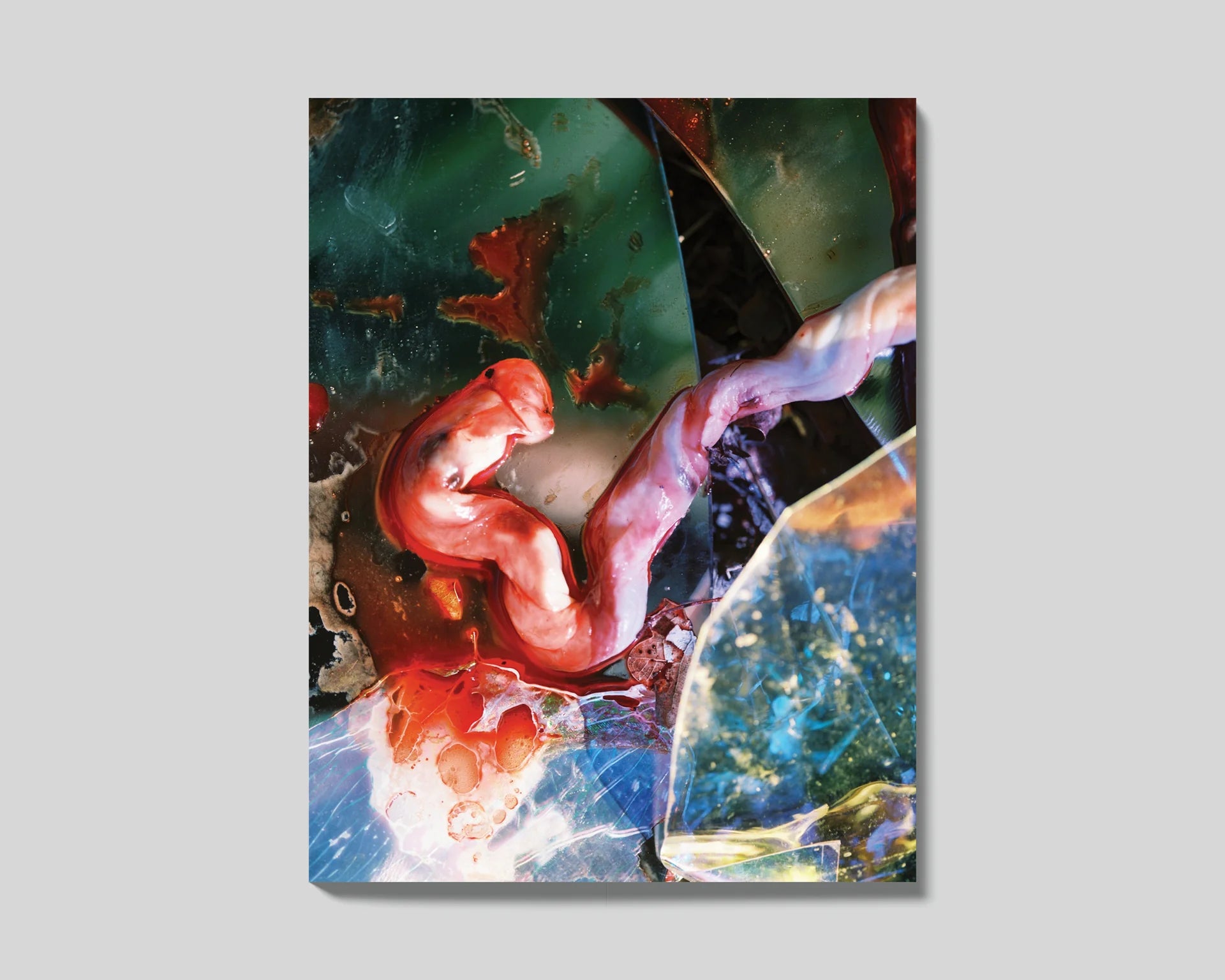 Lucile Boiron - Bouche