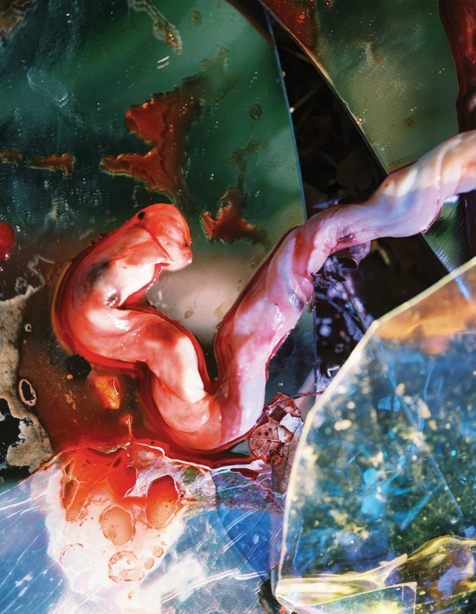 Lucile Boiron - Bouche