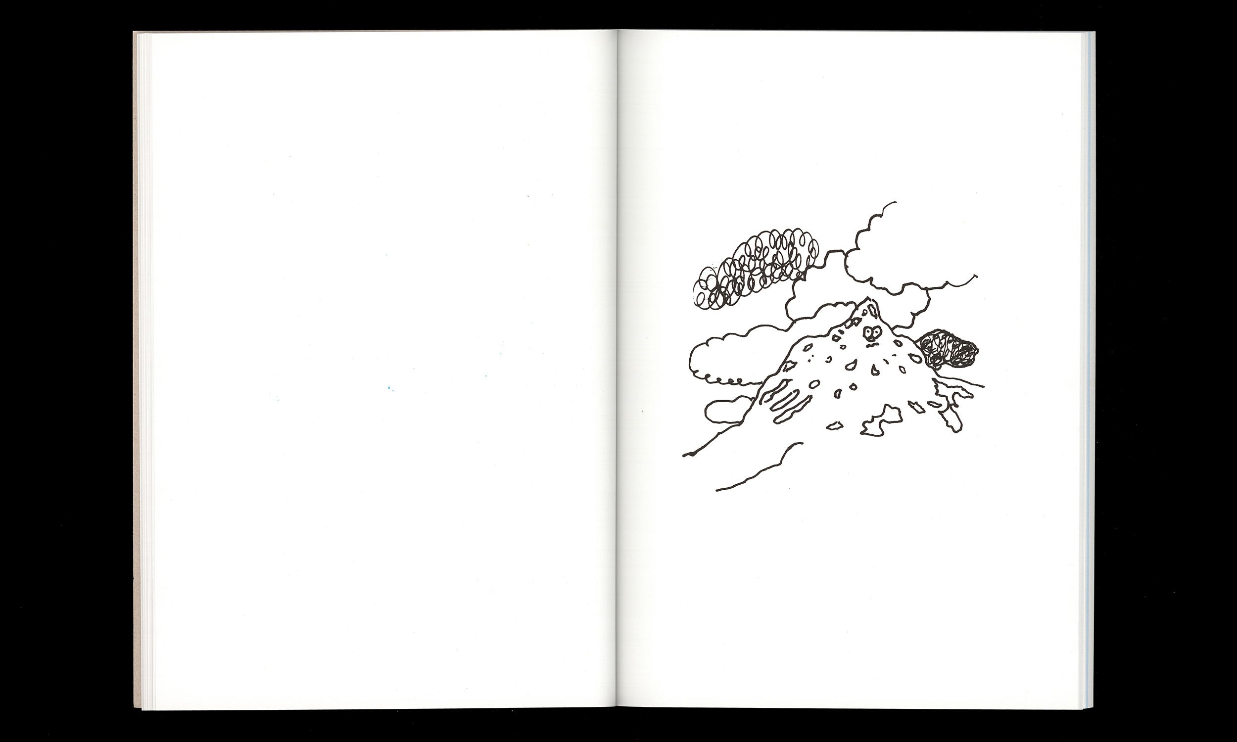 Stefan Marx - St. Moritz, A Coloring Book