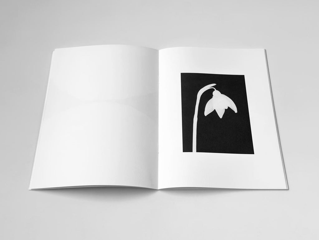 Jochen Lempert - Hakage