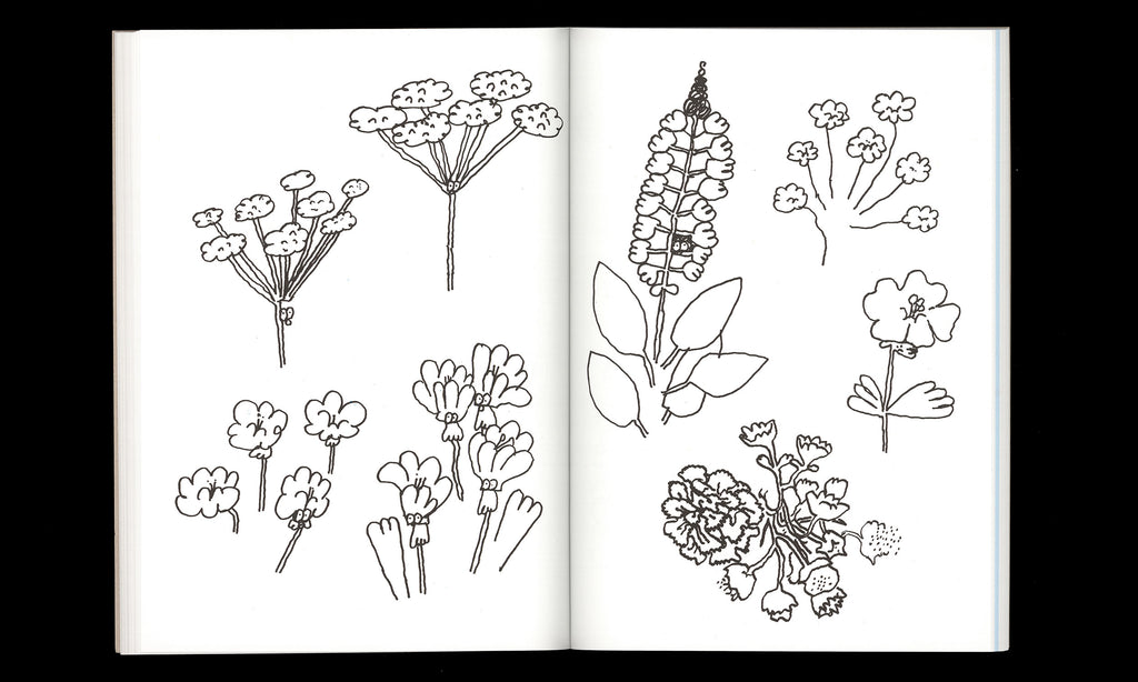 Stefan Marx - St. Moritz, A Coloring Book