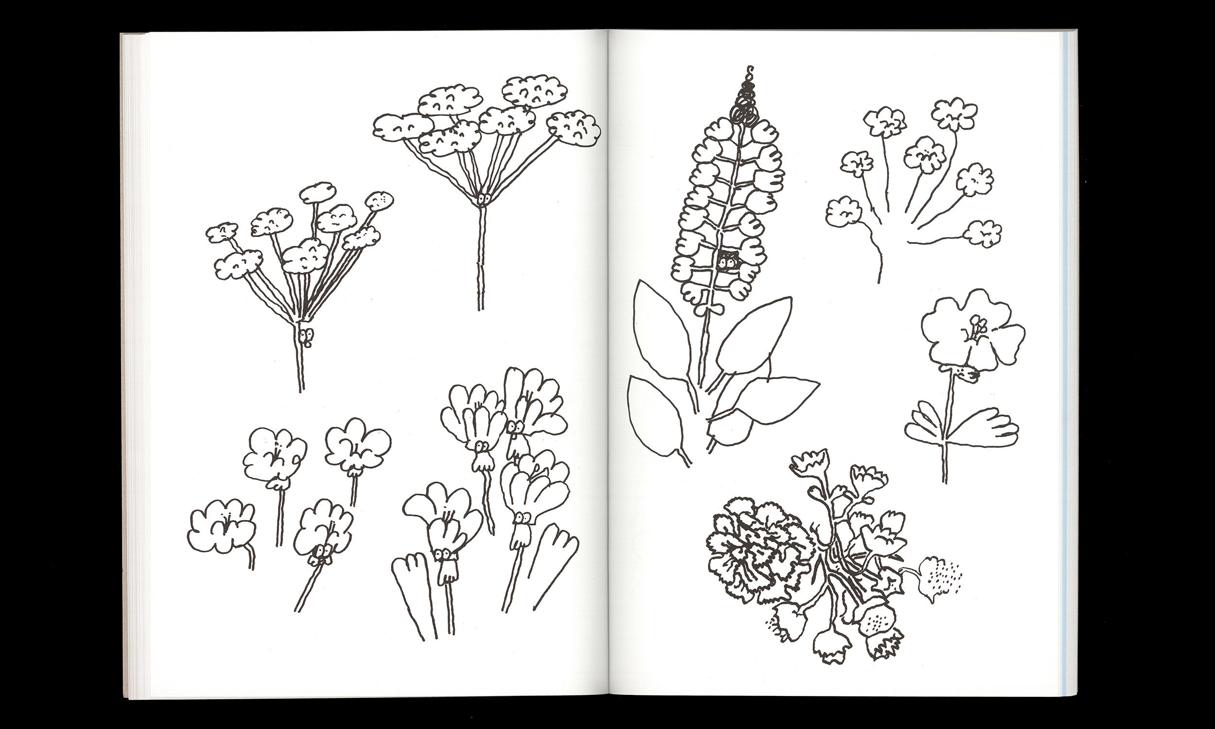 Stefan Marx - St. Moritz, A Coloring Book