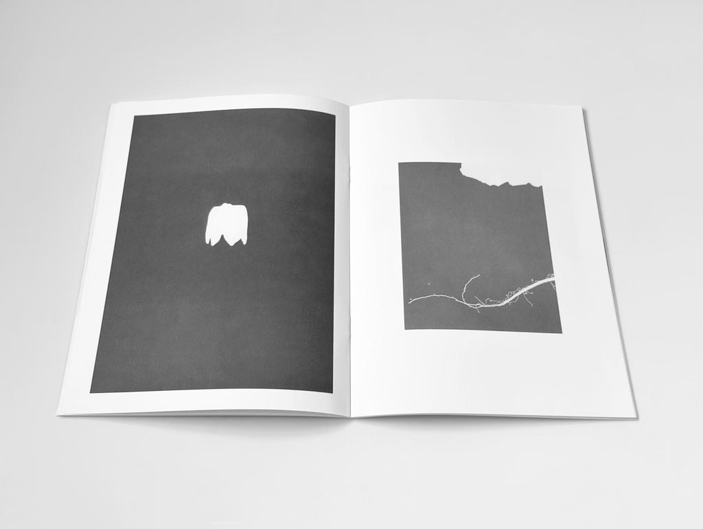 Jochen Lempert - Hakage