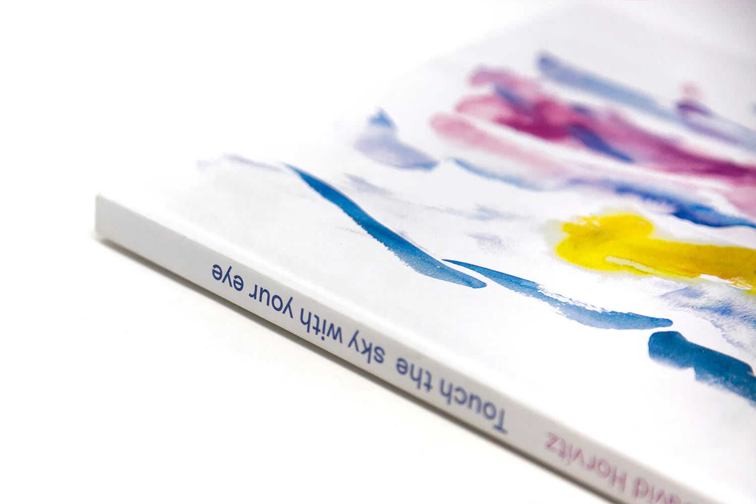 David Horvitz - Touch the sky with your eye