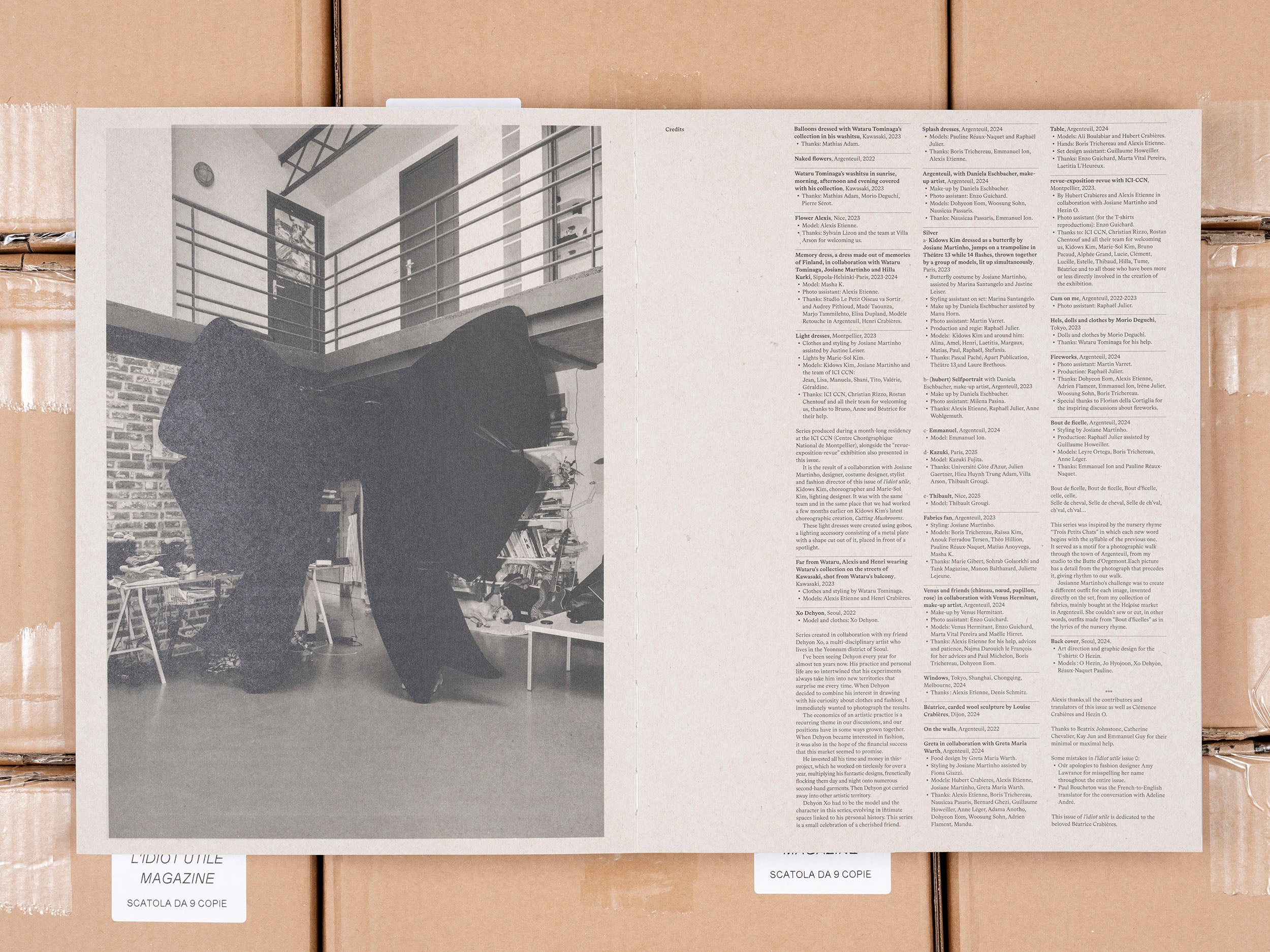 l'idiot utile - Issue 1