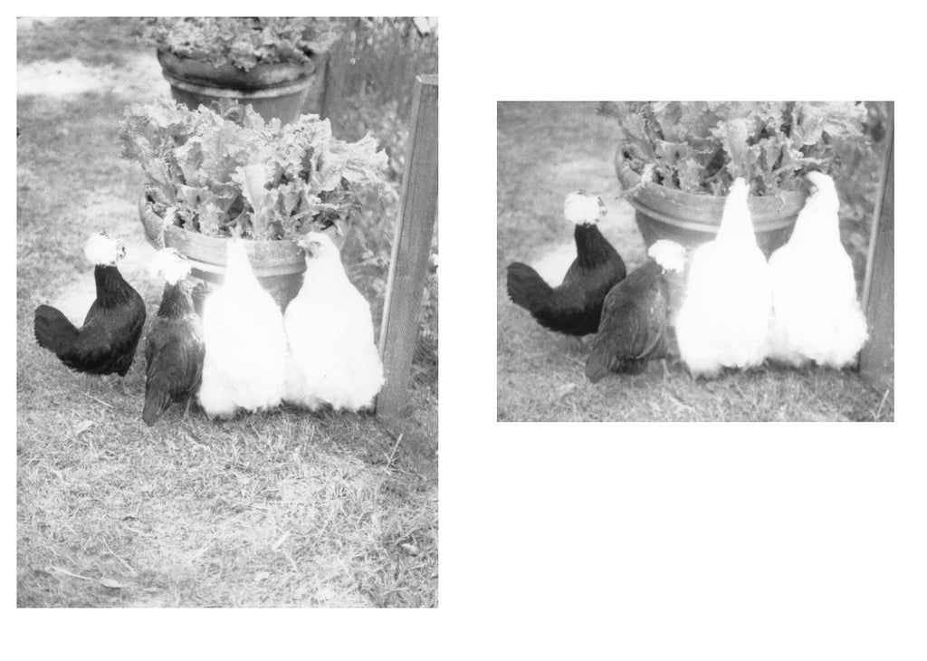 Jochen Lempert - Local Ecology - Moulin des Ribes