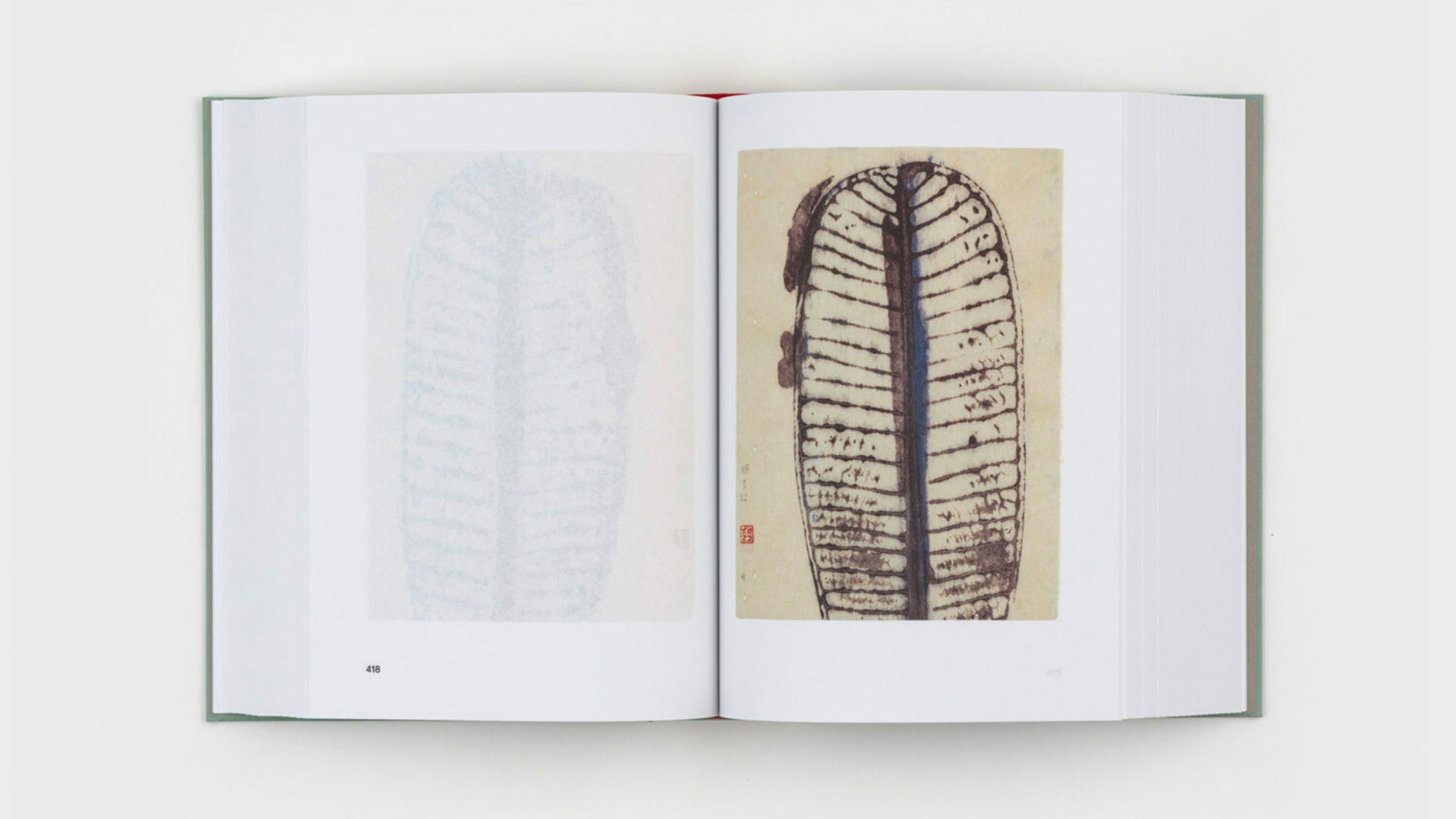 Gabriel Orozco - Diario de Plantas