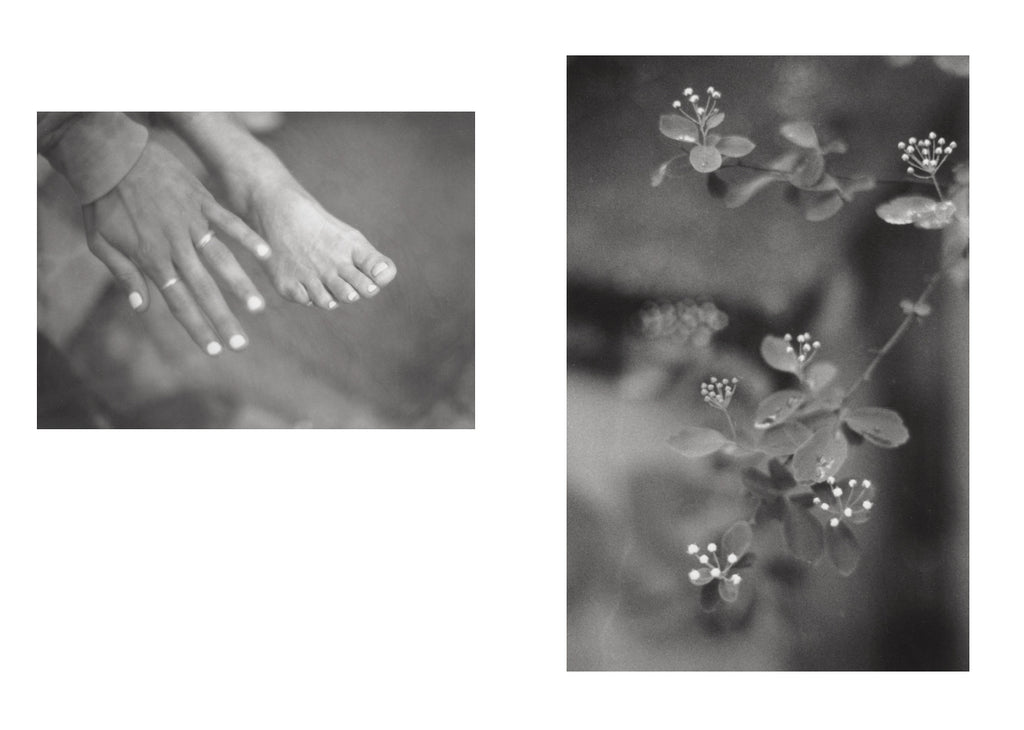 Jochen Lempert - Local Ecology - Moulin des Ribes