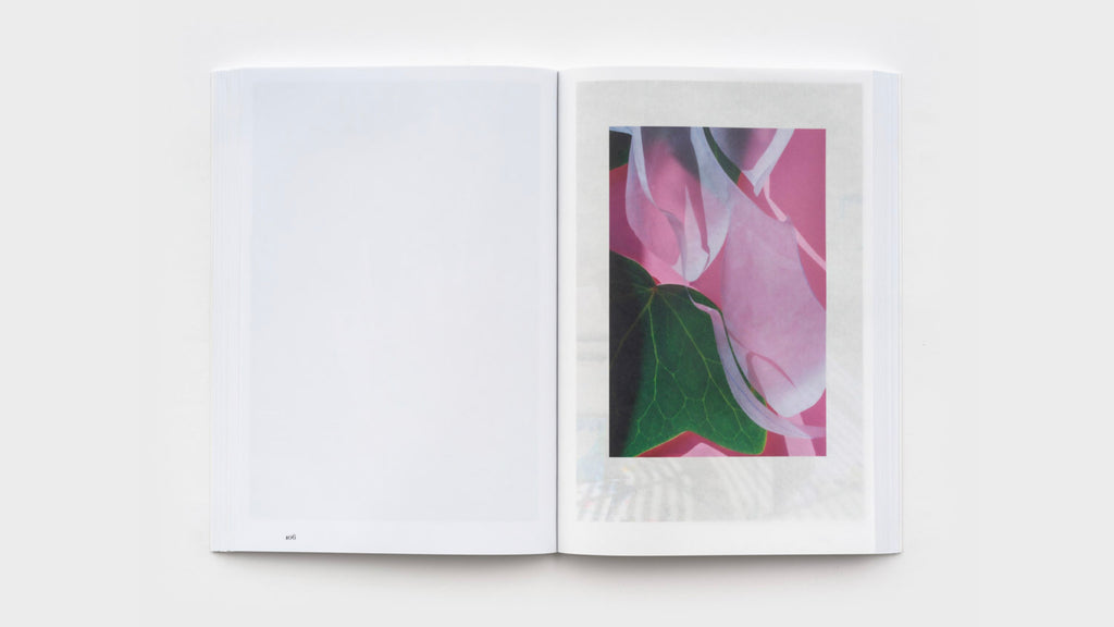 David Gilbert - Lillies