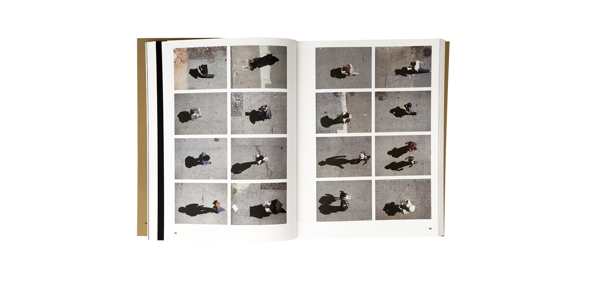 Bettina Grossman - Bettina