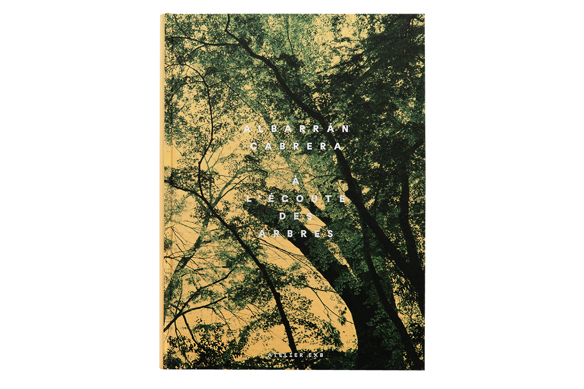 Albarràn Cabrera - À l'écoute des arbres