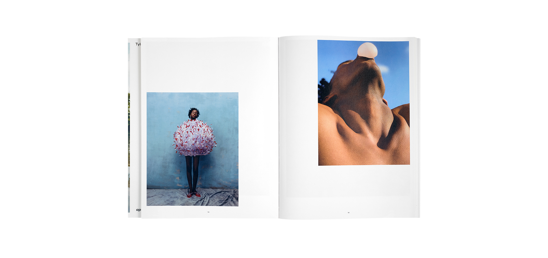 Tyler Mitchell - Wish This Was Real