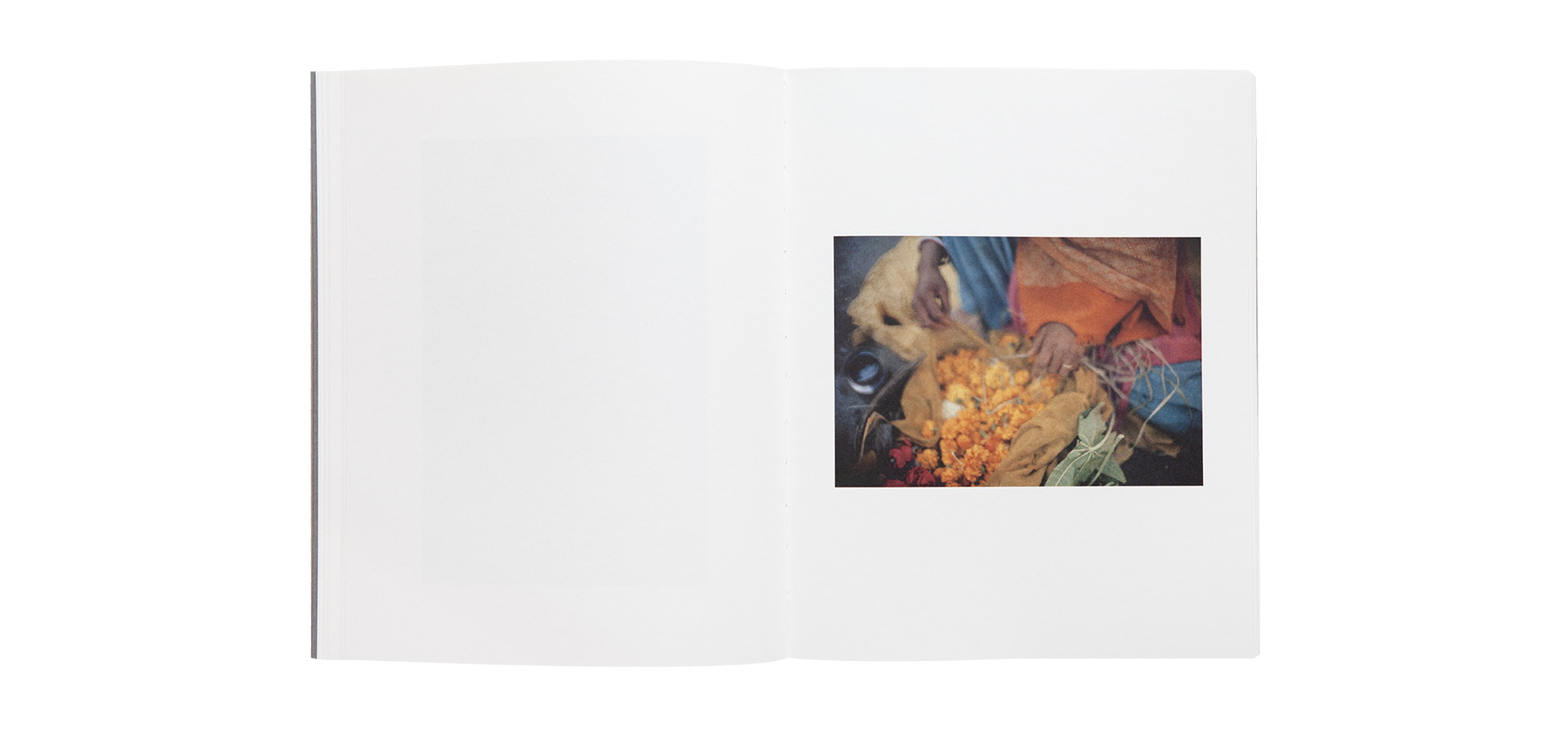 Paolo Roversi - L'Odeur de l'Inde