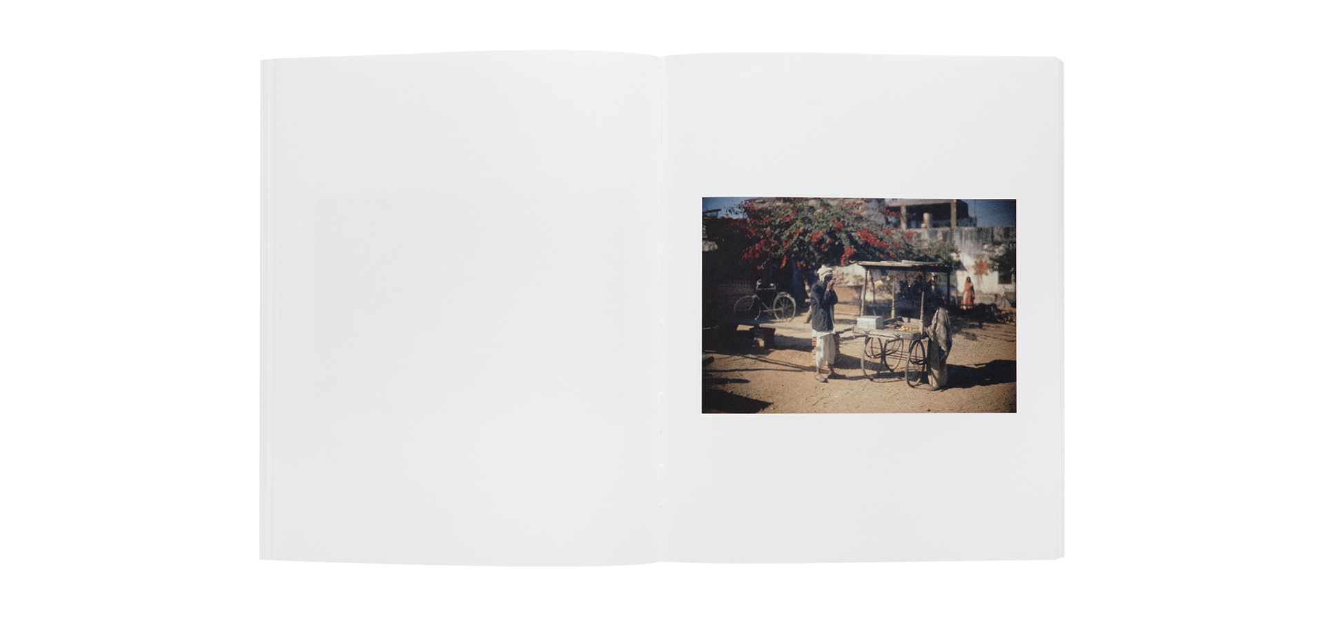 Paolo Roversi - L'Odeur de l'Inde