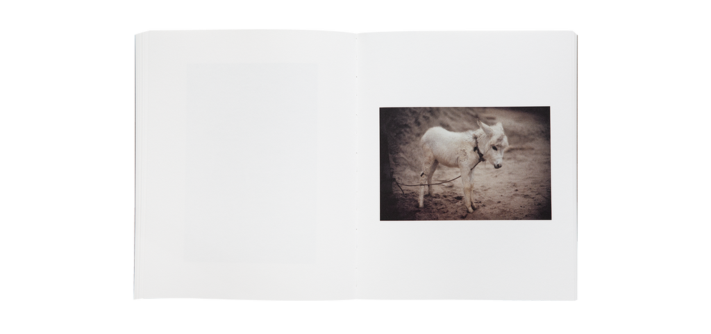 Paolo Roversi - L'Odeur de l'Inde