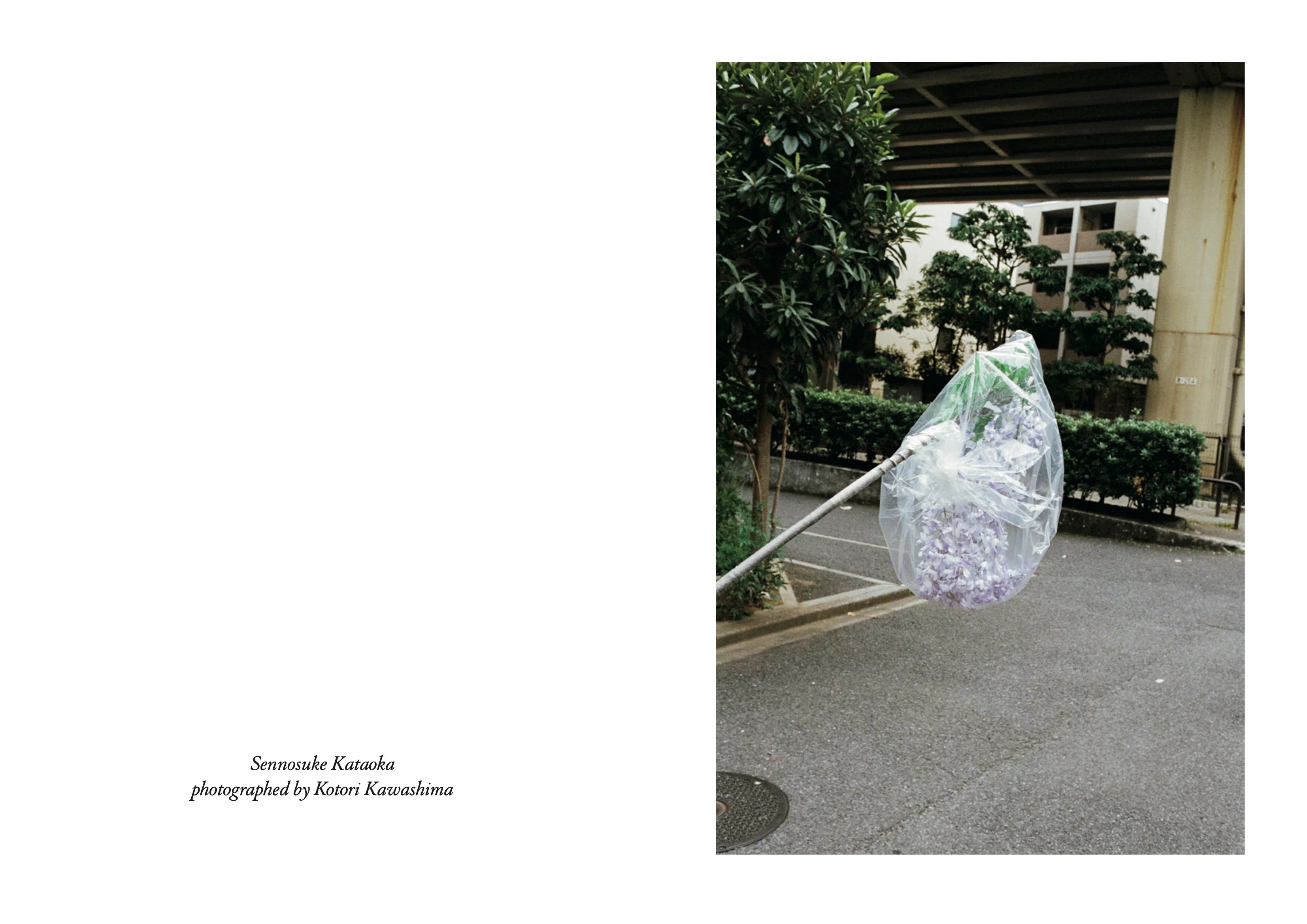 Study - Volume 14 - 03.26 - On Sennosuke Kataoka