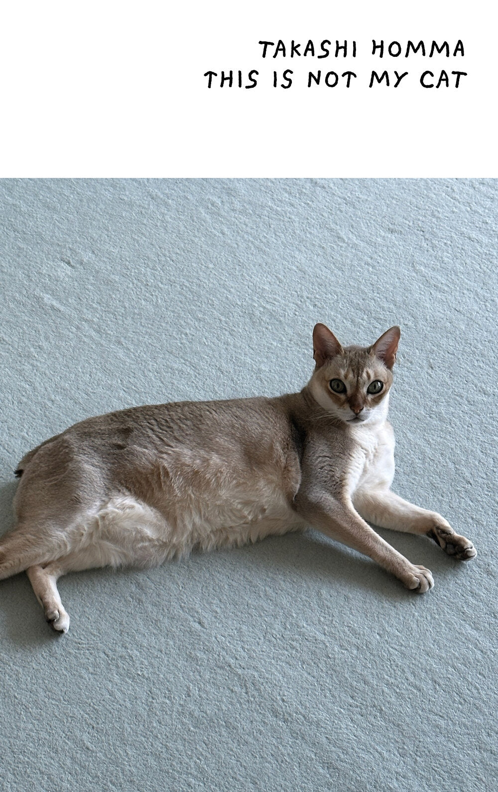 Takashi Homma - This Is Not My Cat