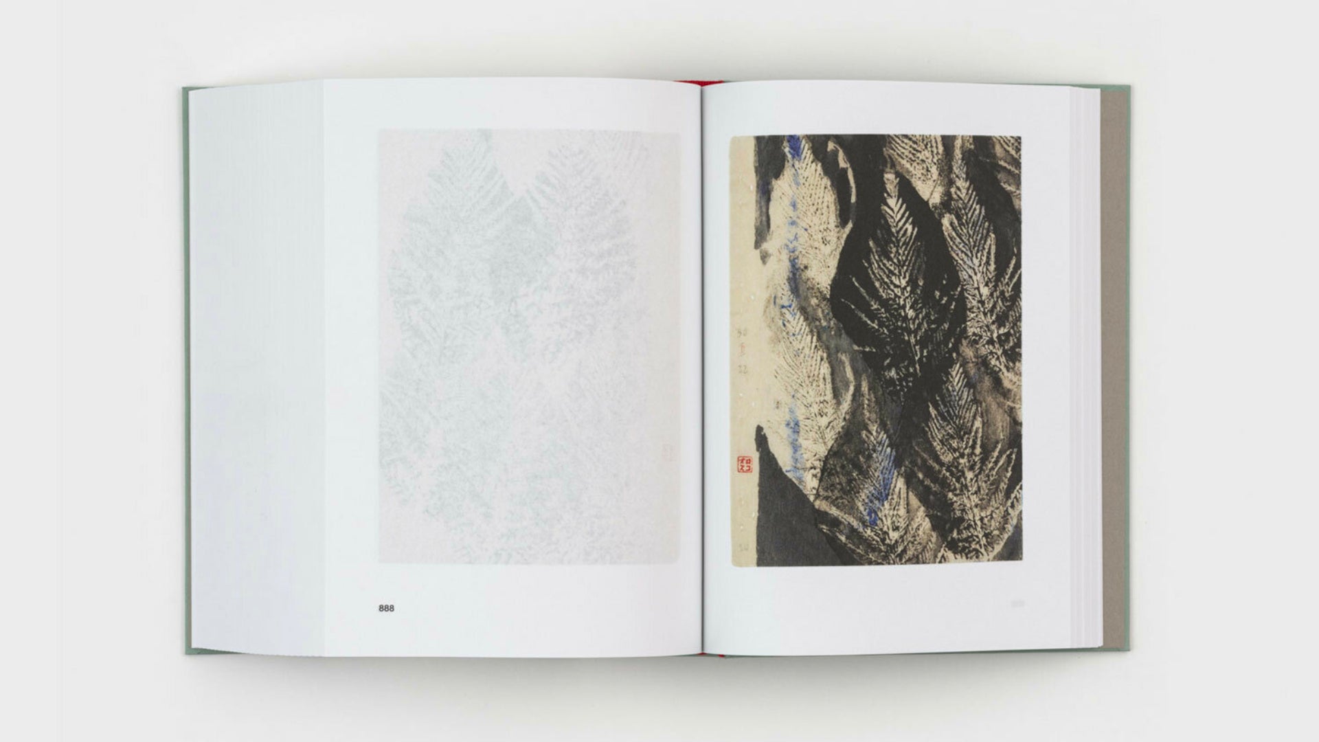 Gabriel Orozco - Diario de Plantas