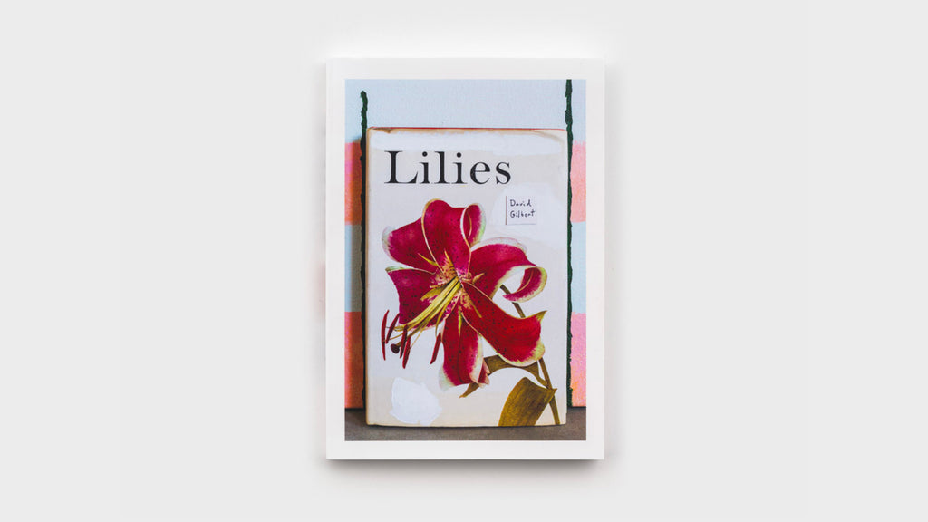 David Gilbert - Lillies
