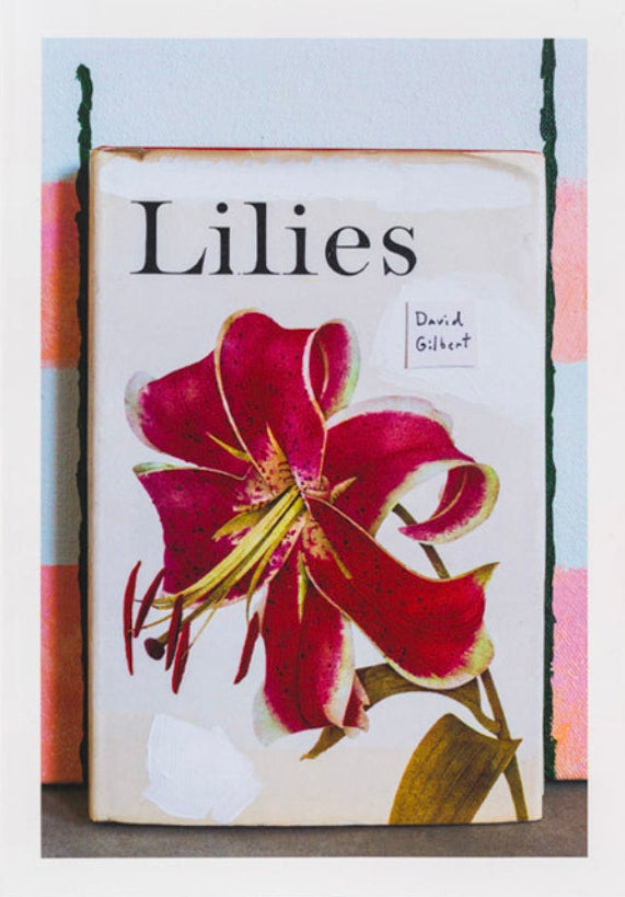 David Gilbert - Lillies