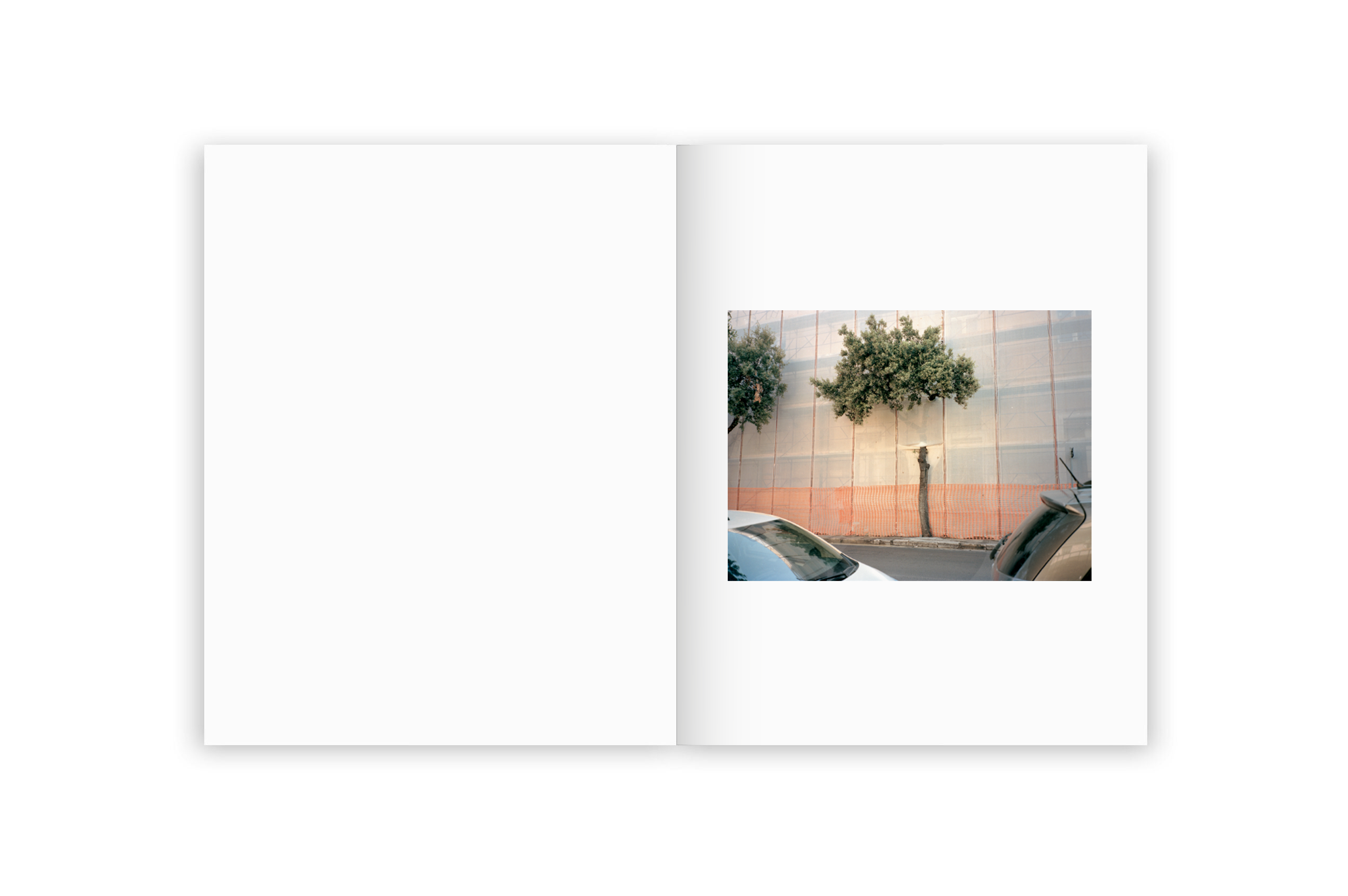 Irina Rozovsky & Mark Steinmetz - Insieme