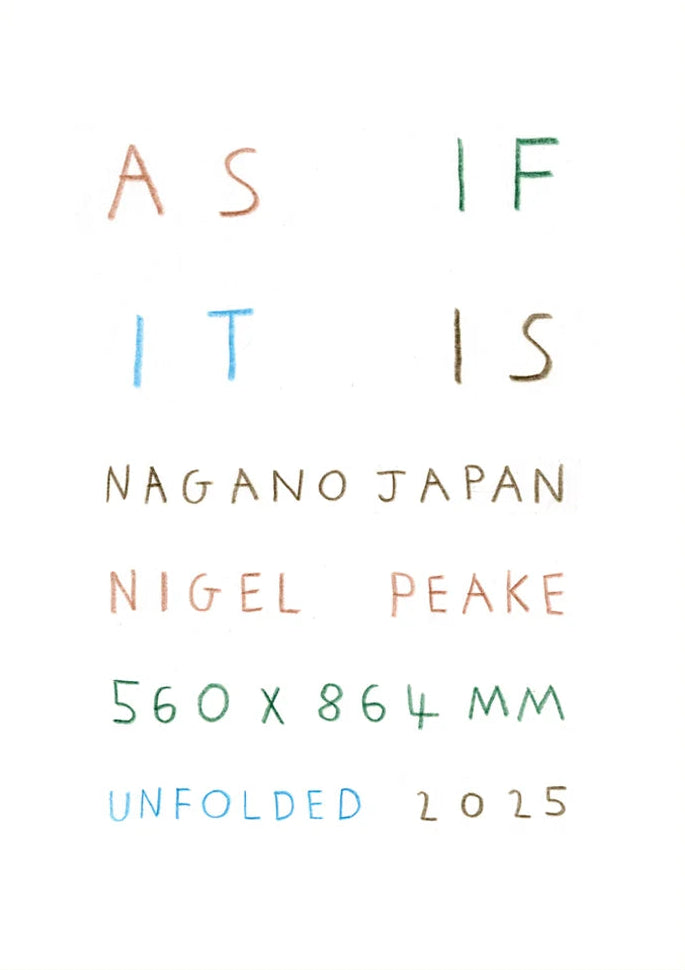 Nigel Peake - As if it is (Poster)