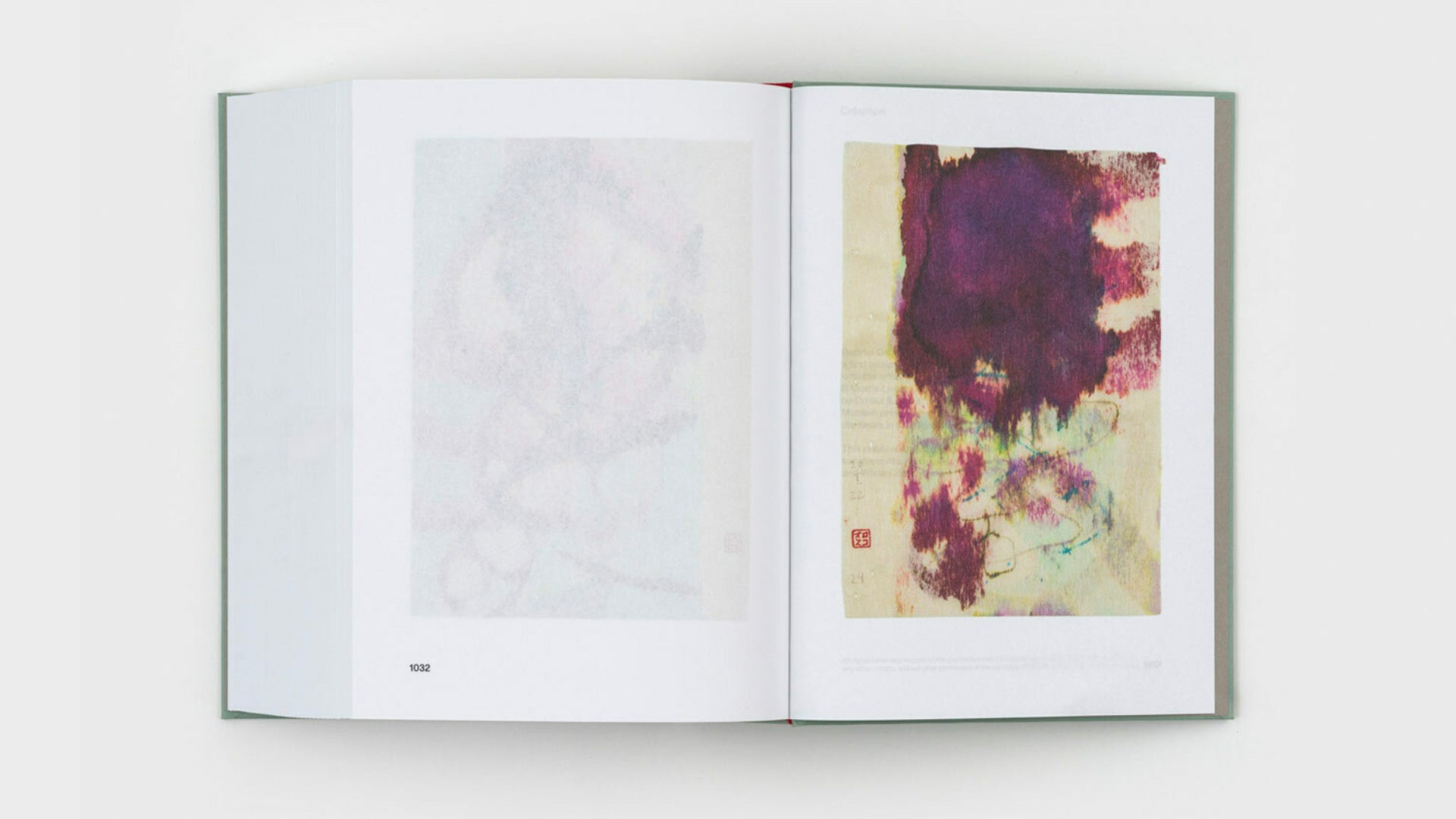 Gabriel Orozco - Diario de Plantas