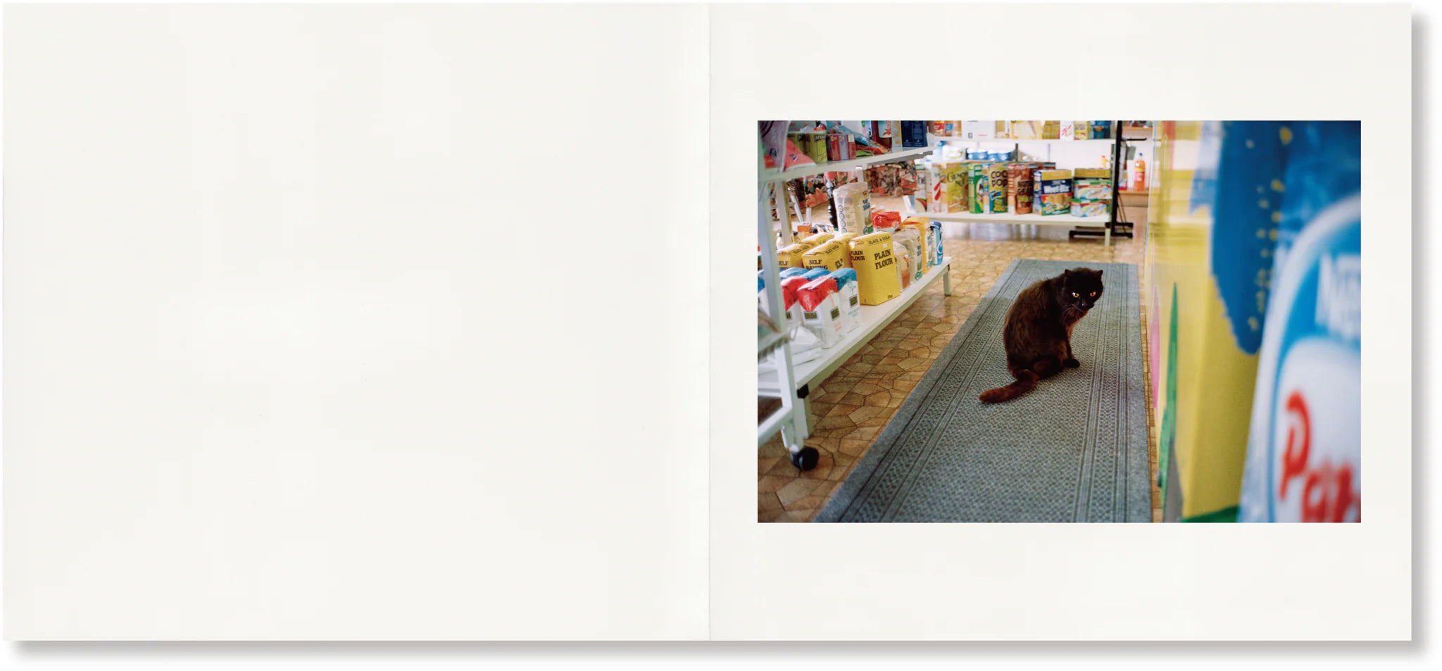 Greg Hunt - Everything I’m Trying To Tell You