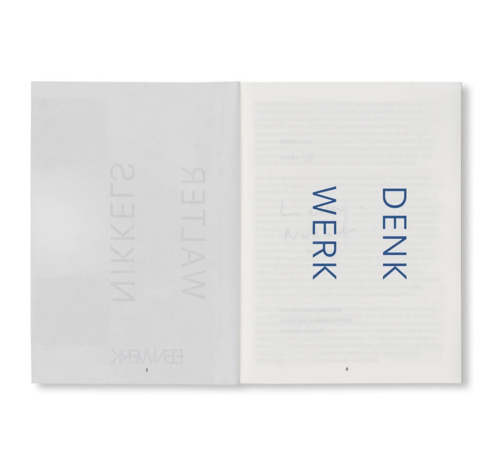 Walter Nikkels - Denkwerk