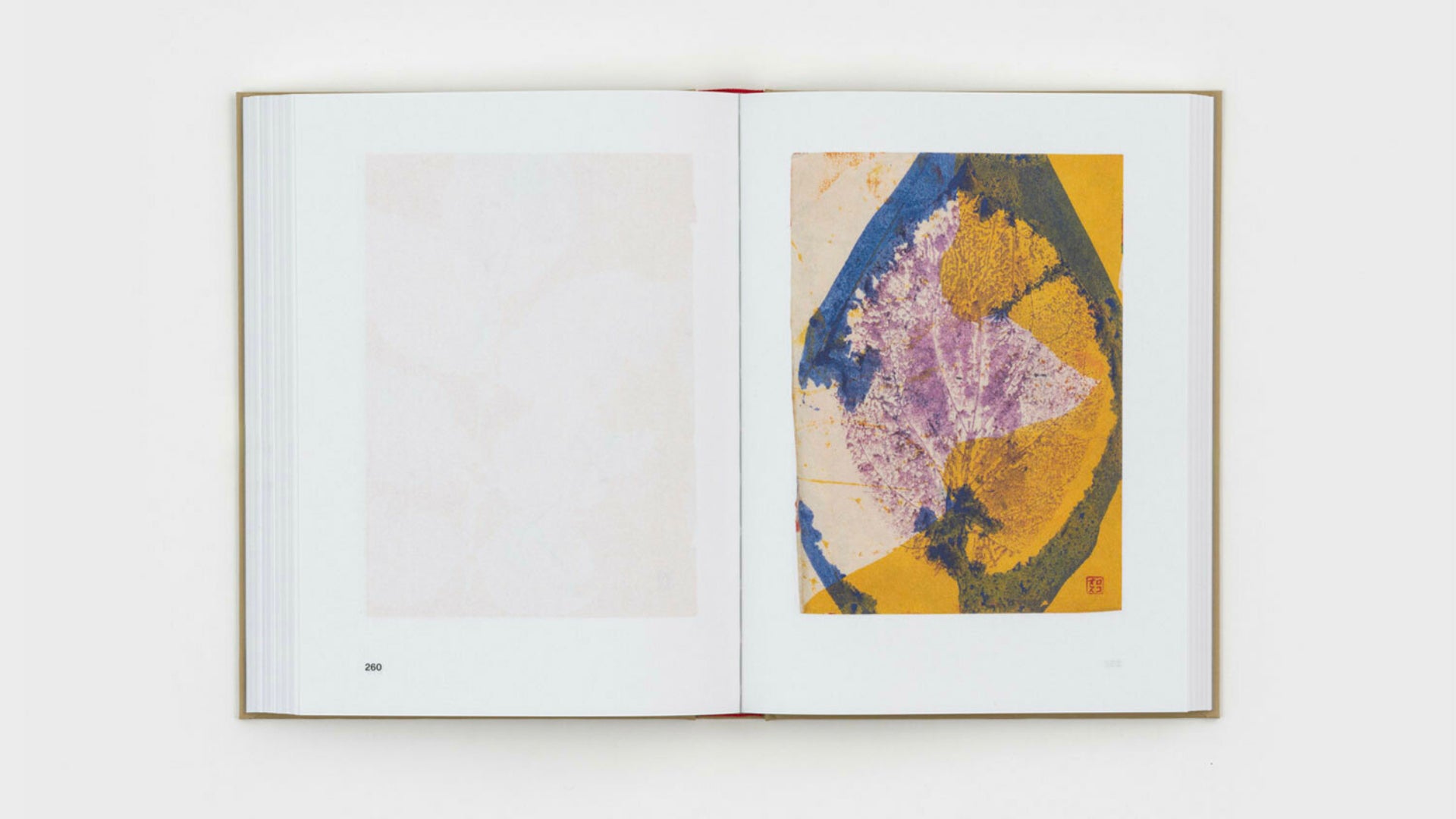 Gabriel Orozco - Diario de Plantas