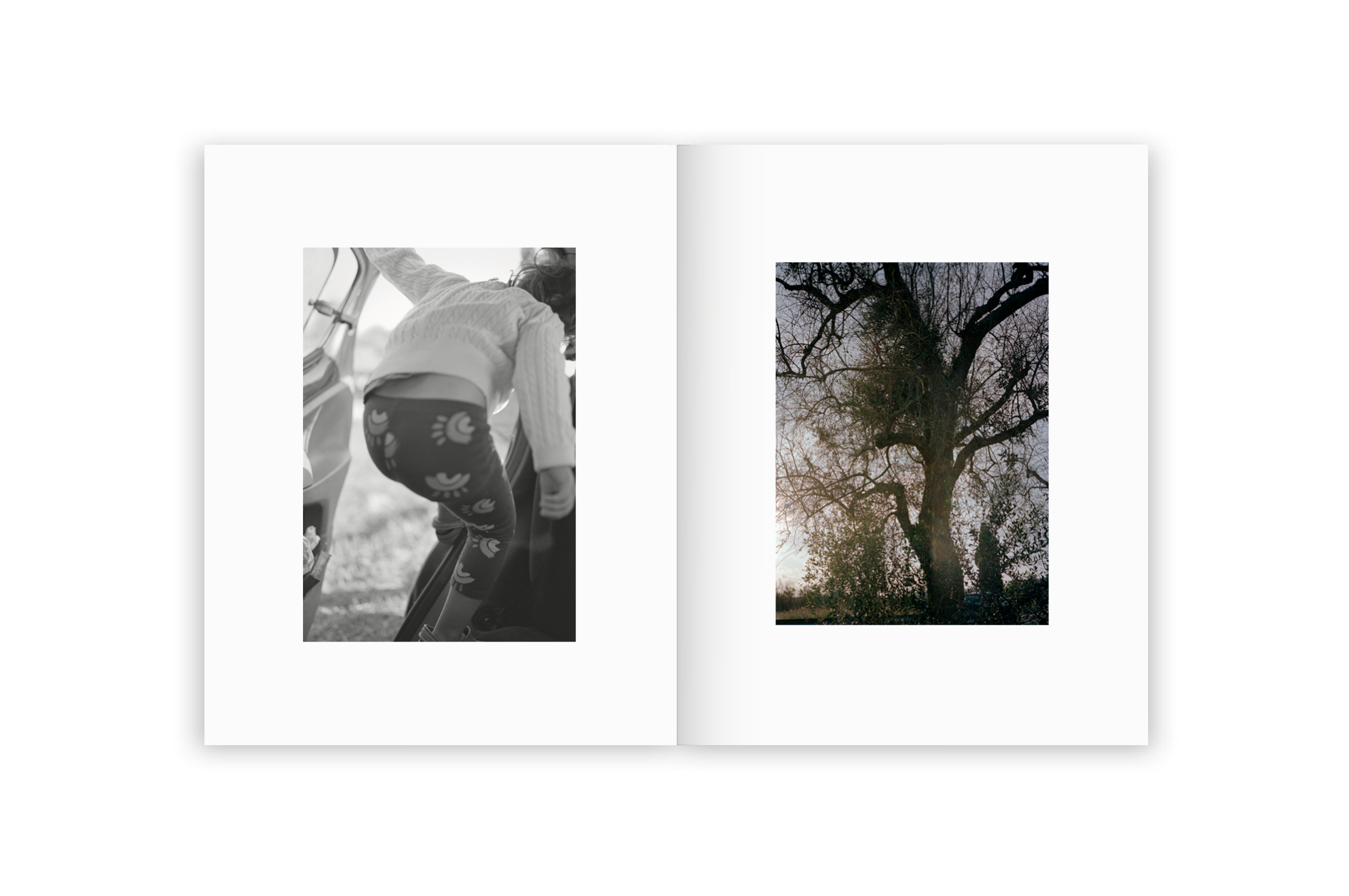 Irina Rozovsky & Mark Steinmetz - Insieme