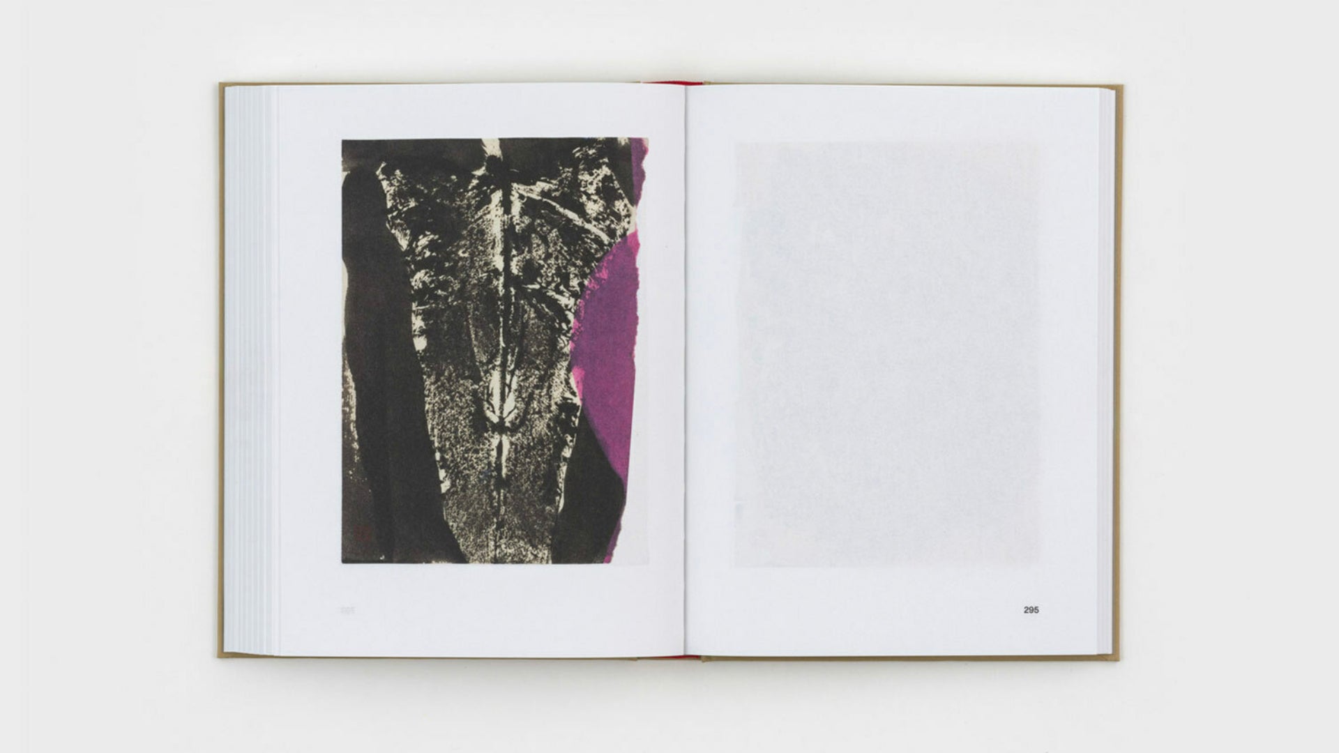 Gabriel Orozco - Diario de Plantas