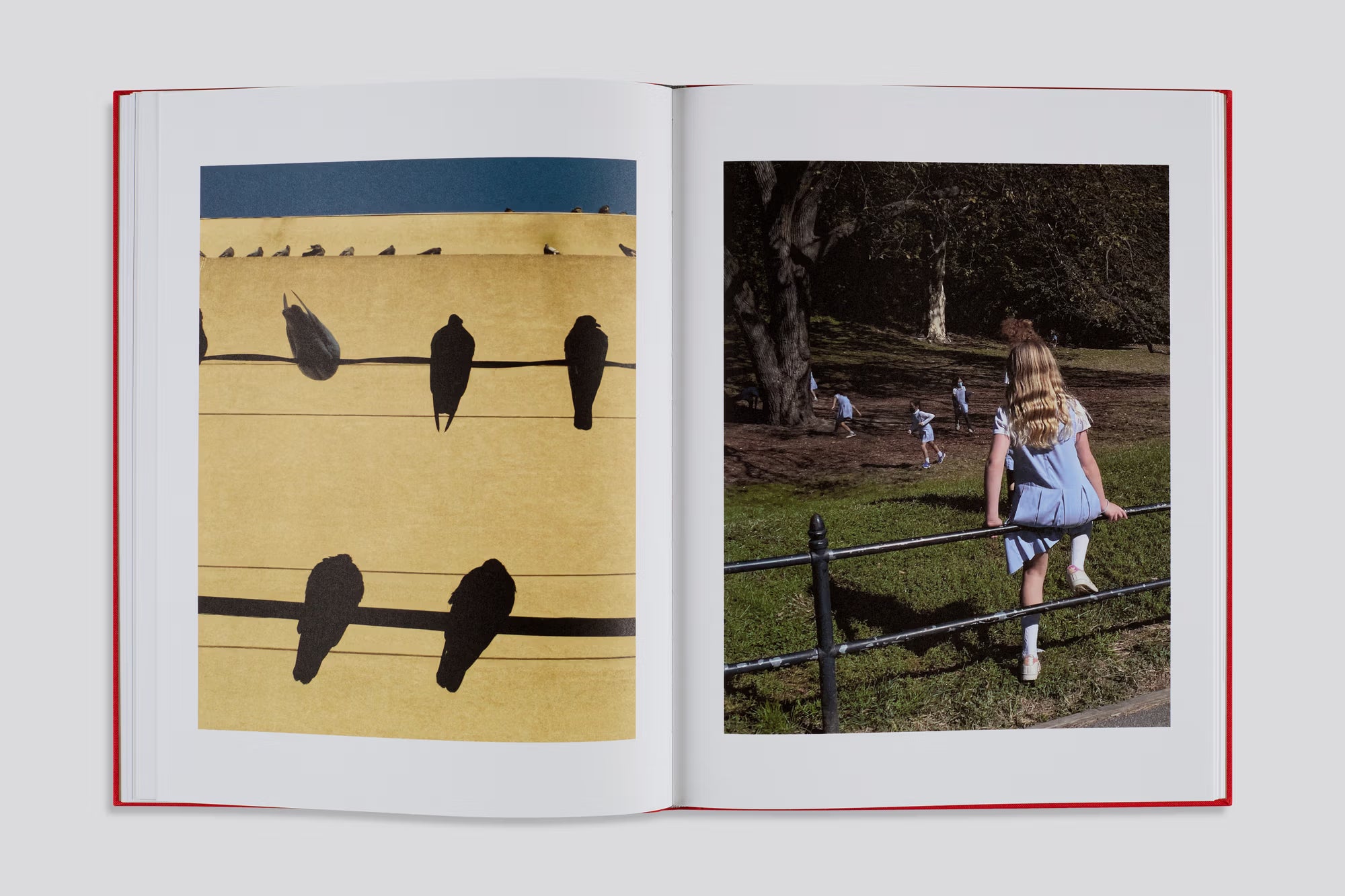 Sarah van Rij - Atlas des Échos