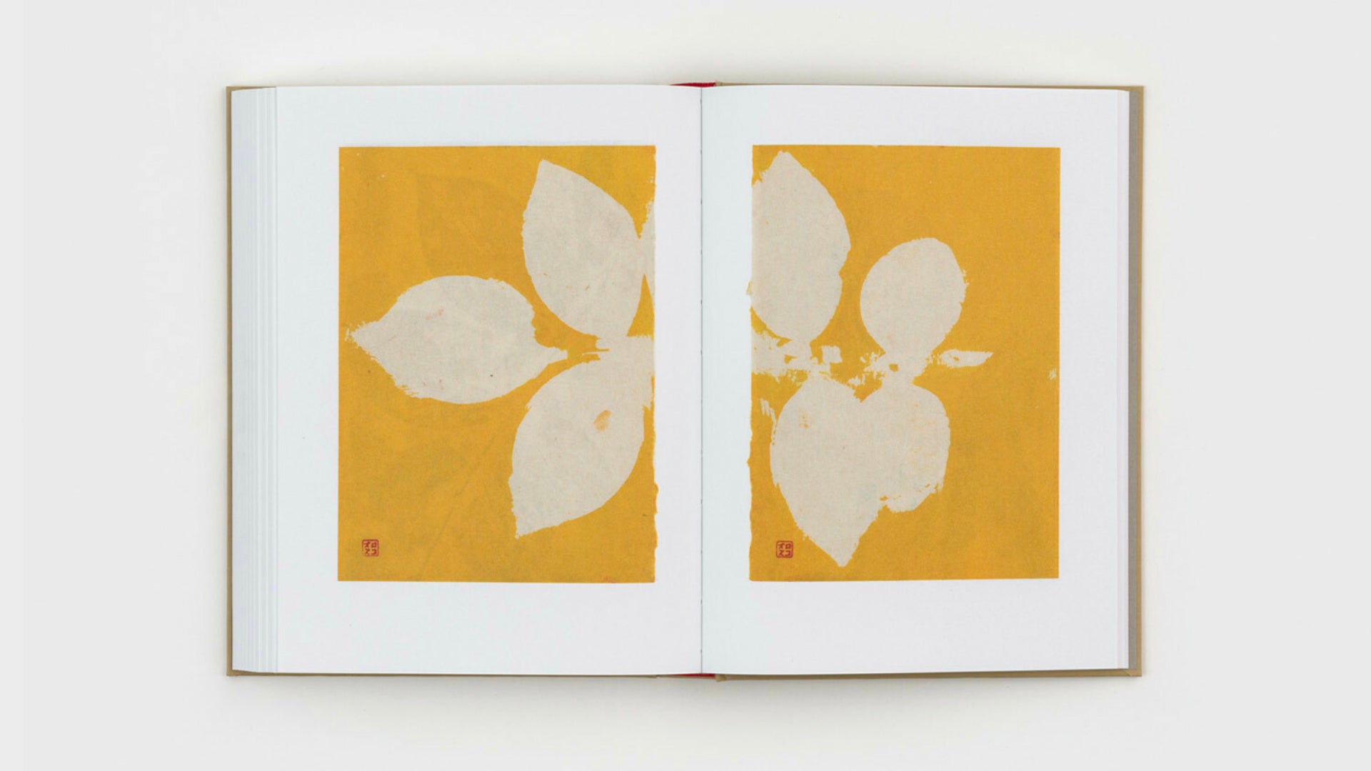 Gabriel Orozco - Diario de Plantas