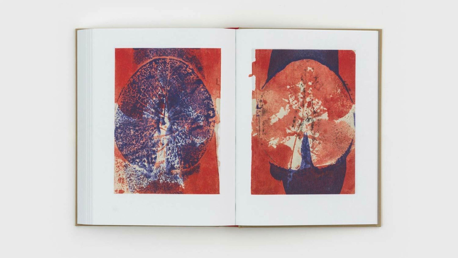 Gabriel Orozco - Diario de Plantas