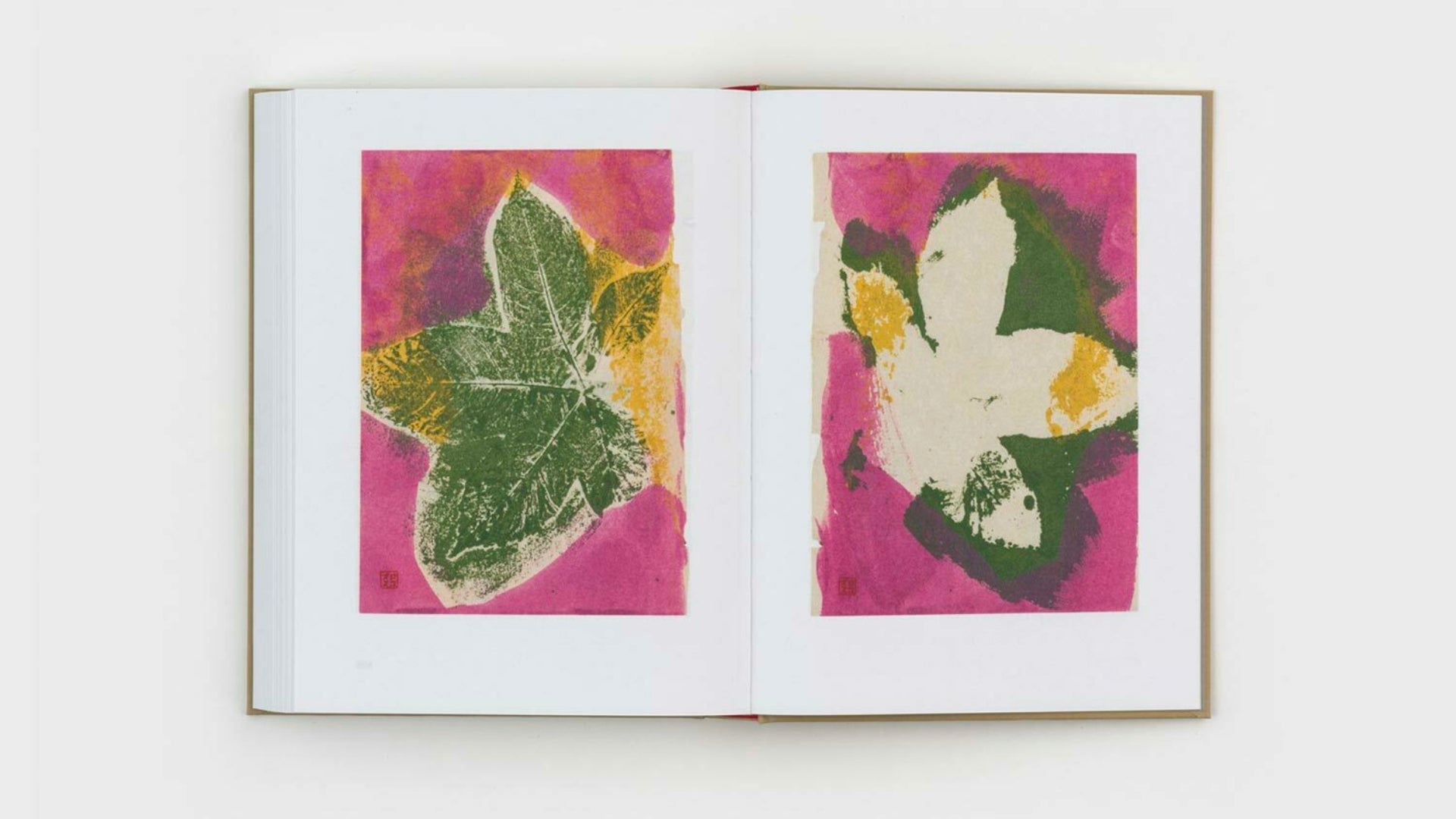 Gabriel Orozco - Diario de Plantas